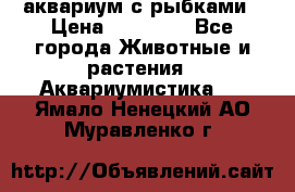 аквариум с рыбками › Цена ­ 15 000 - Все города Животные и растения » Аквариумистика   . Ямало-Ненецкий АО,Муравленко г.